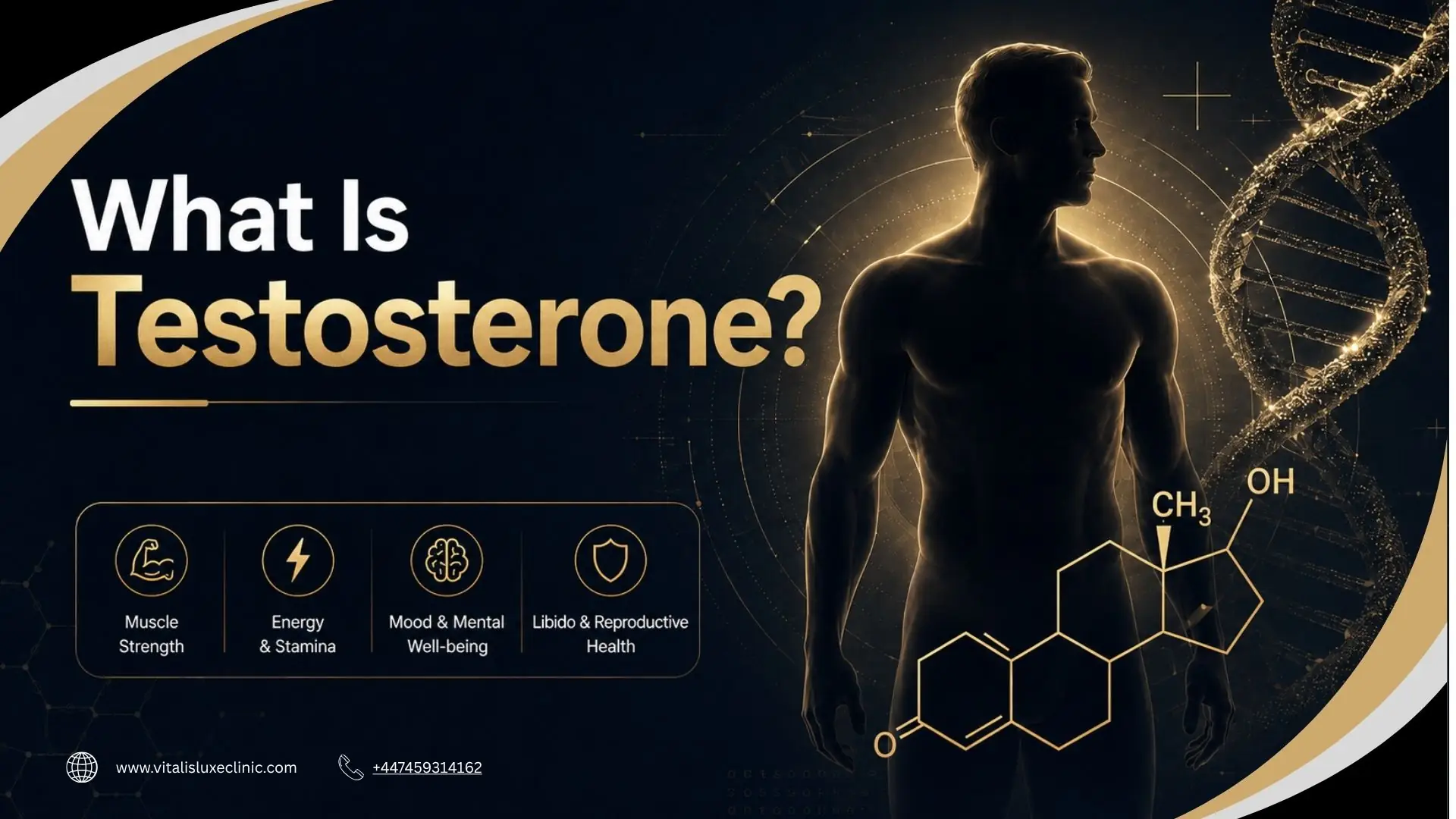 What is Testosterone